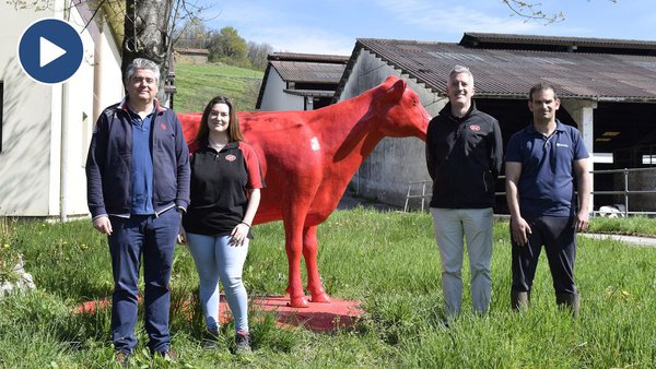 Cooperativa San Miguel de Aralar, pioneira no muxido robotizado en granxas XL