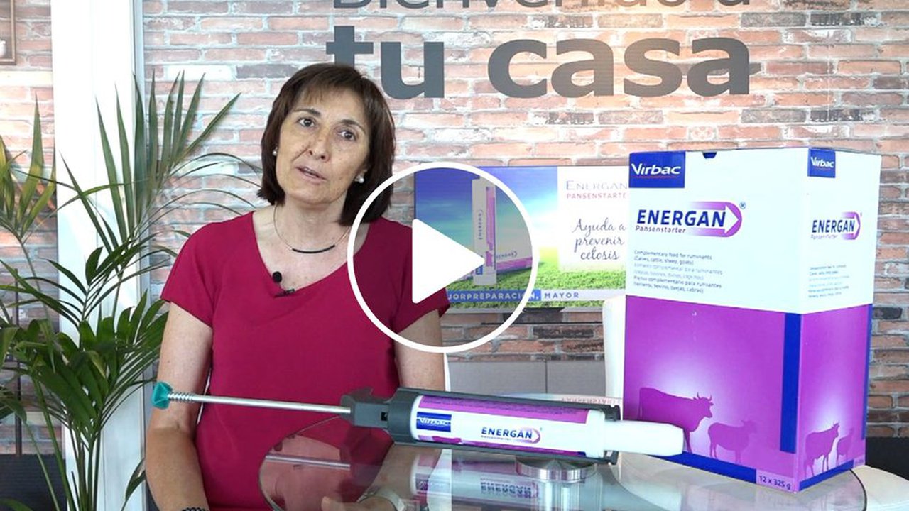 Energan Pansenstarter, el reconstituyente en pasta oral de Virbac para restablecer la función ruminal