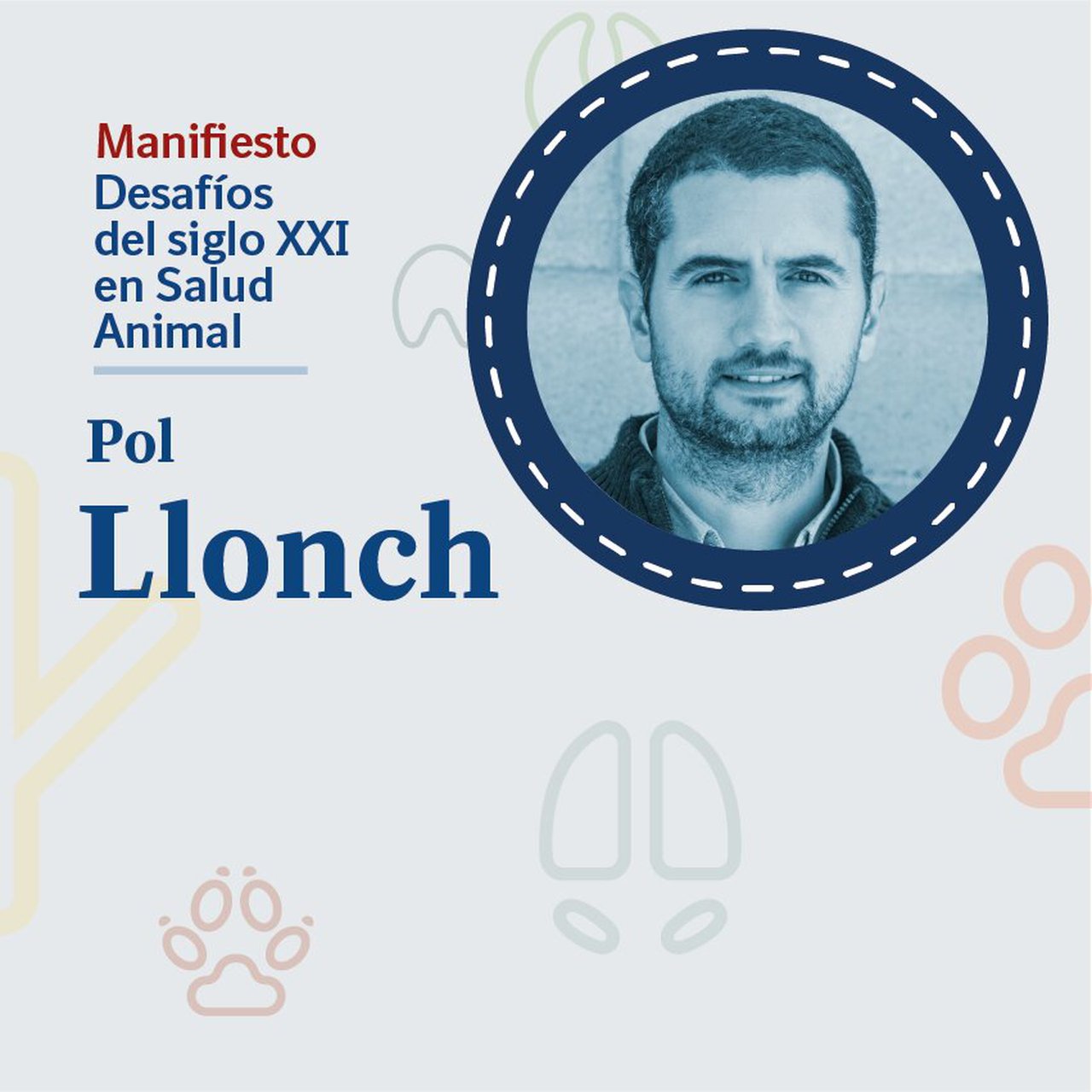 O enfoque One Health prioriza a mellora do benestar animal e o avance da protección dos animais