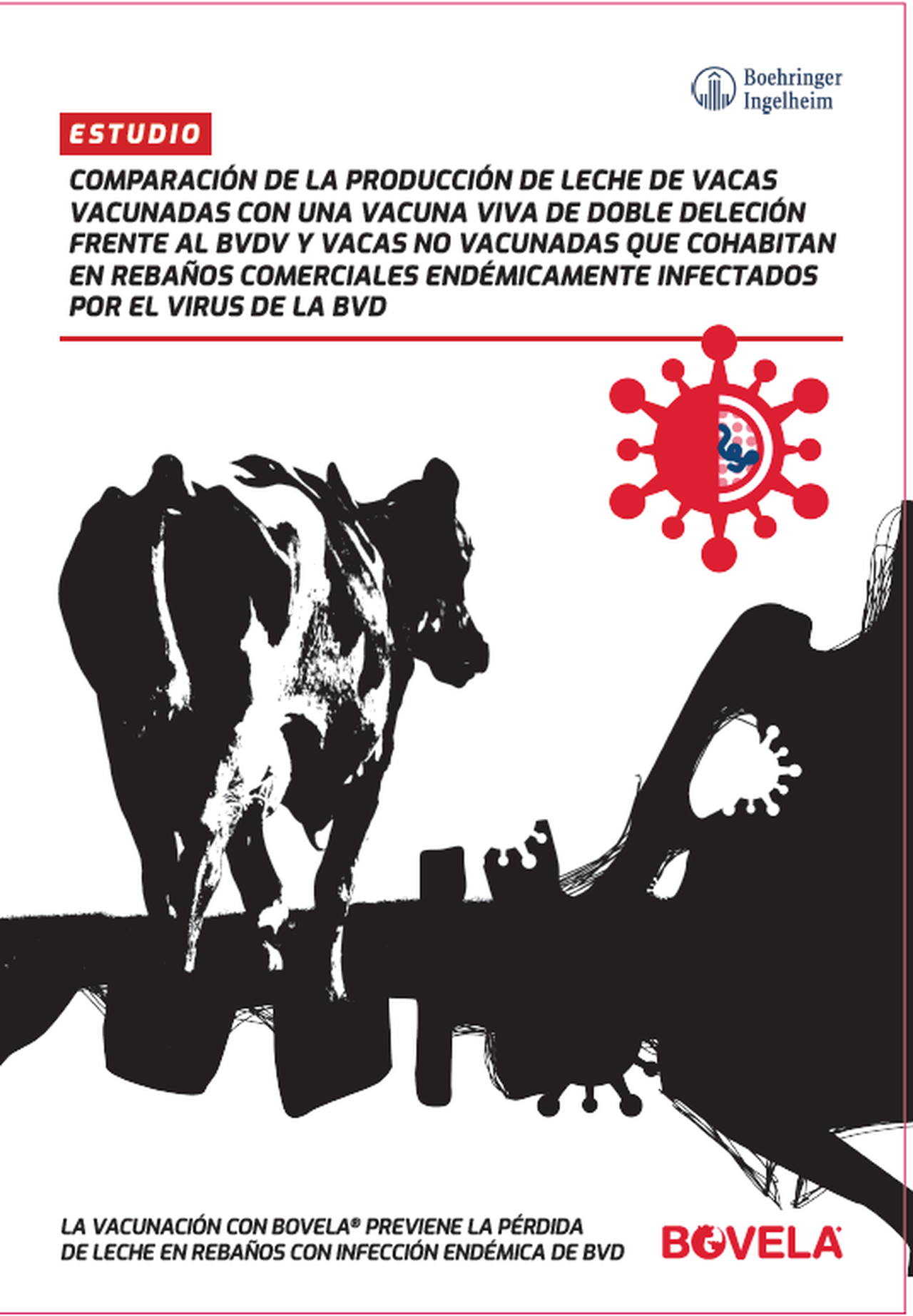 Un estudo avala a seguridade de Bovela® e demostra un aumento na produción de leite