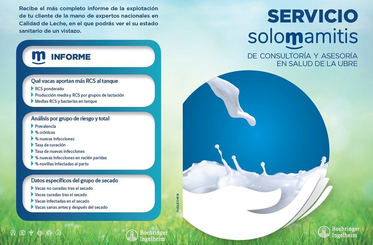 Un novo soporte ao labor do veterinario da man de Solomamitis