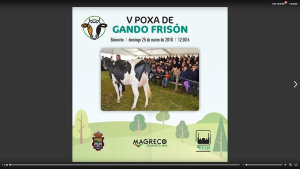 El catálogo de la subasta de frisonas de Boimorto, ya disponible