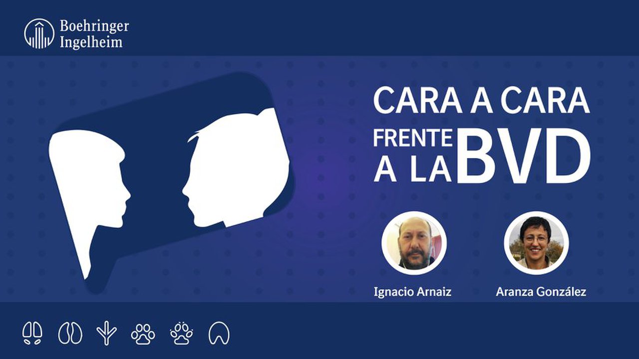 “Cara a cara fronte á BVD”, unha xornada online de Boehringer Ingelheim