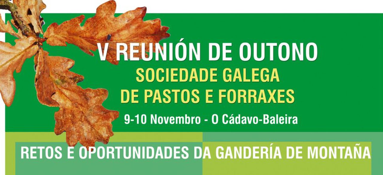 Quinta edición de la Reunión de Outono de la SGPF