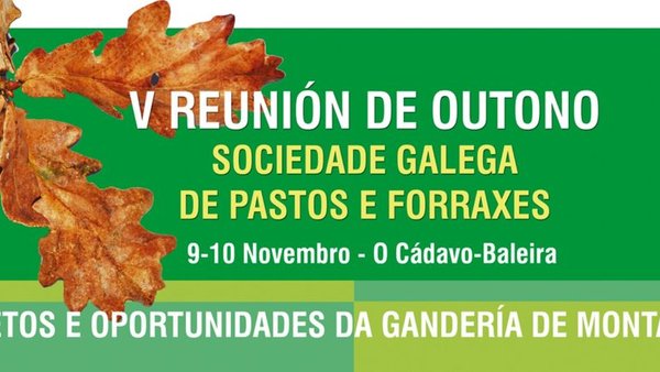 Quinta edición de la Reunión de Outono de la SGPF