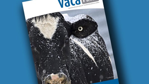 Publicada la edición en castellano de Vaca Pinta 7