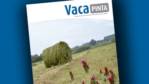 ¡Cumplimos dos años con el lanzamiento de Vaca Pinta 15!