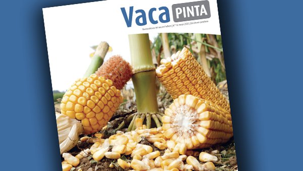 Vaca Pinta 16, también disponible en castellano