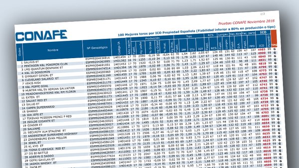 El TOP 100 de los toros genómicos de España