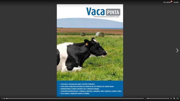 ¡Ya en castellano Vaca Pinta 5!