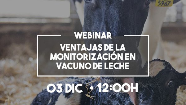 Último webinar del año de la serie `Rumiando los jueves´ de MSD Animal Health