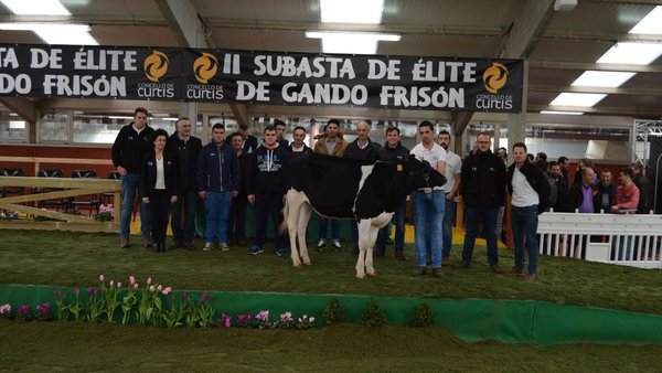 Baixo Jetset Silly alcanzó la cotización más alta, 10.300 euros