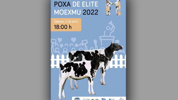 ¡Disponible el libro de la Subasta de Élite Moexmu!