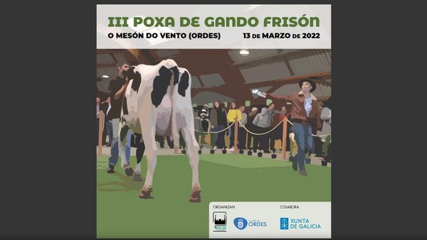 Disponible el libro de la III Subasta de Ganado Frisón de Ordes, que tendrá lugar este domingo