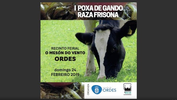 Ya disponible el catálogo de la I Subasta de Ganado Frisón en Ordes de Africor Coruña