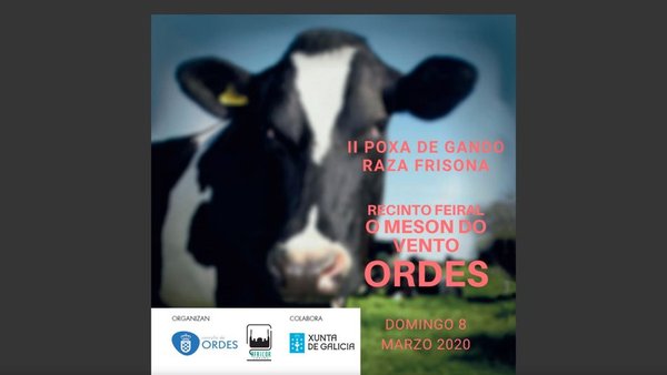 Disponible el catálogo de la II Subasta de Ganado Frisón de Ordes