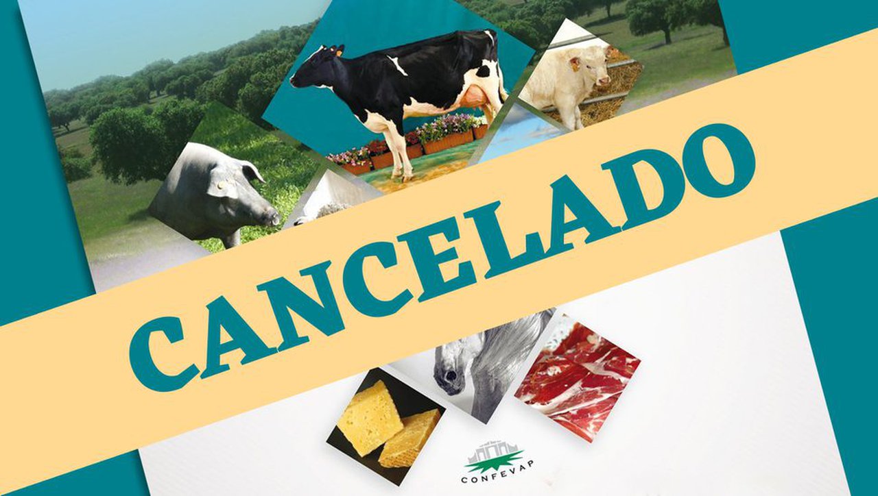 El coronavirus provoca la suspensión de la Feria Agroganadera de Los Pedroches