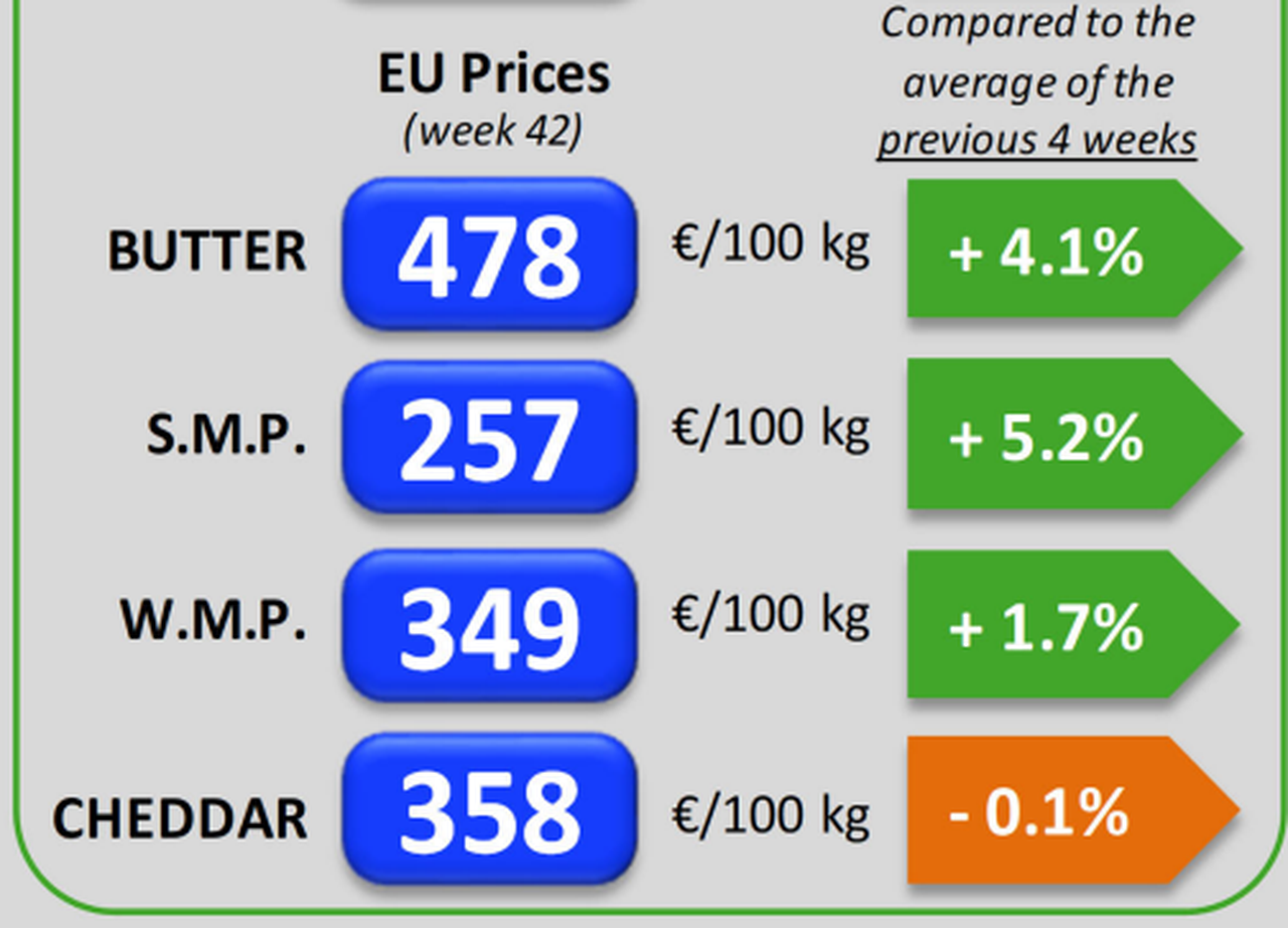 Continúa la subida de precios de los productos lácteos en la UE
