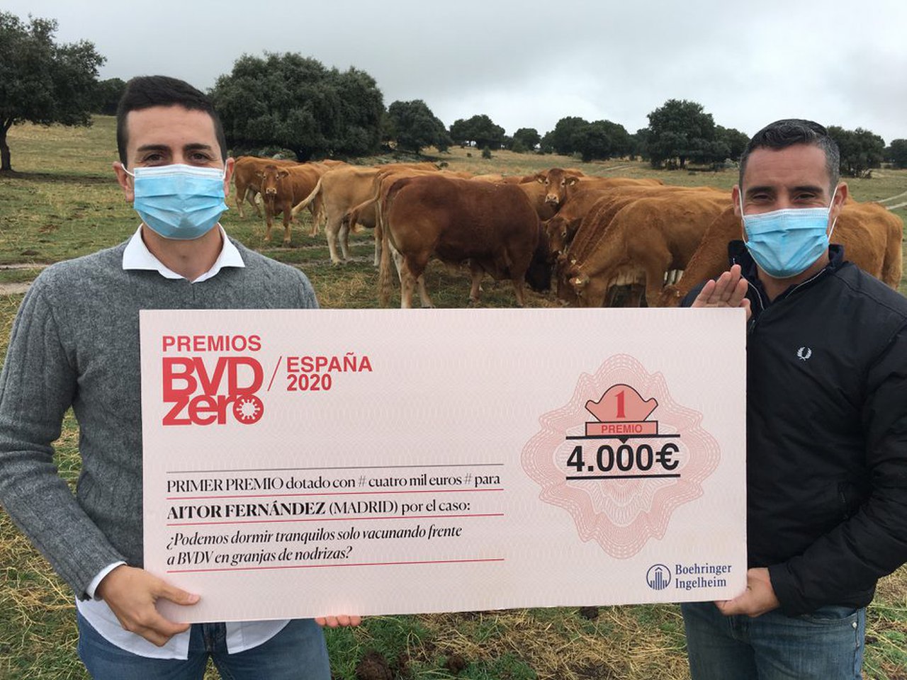 Entregados os premios BVDzero España 2020