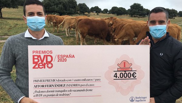 Entregados os premios BVDzero España 2020