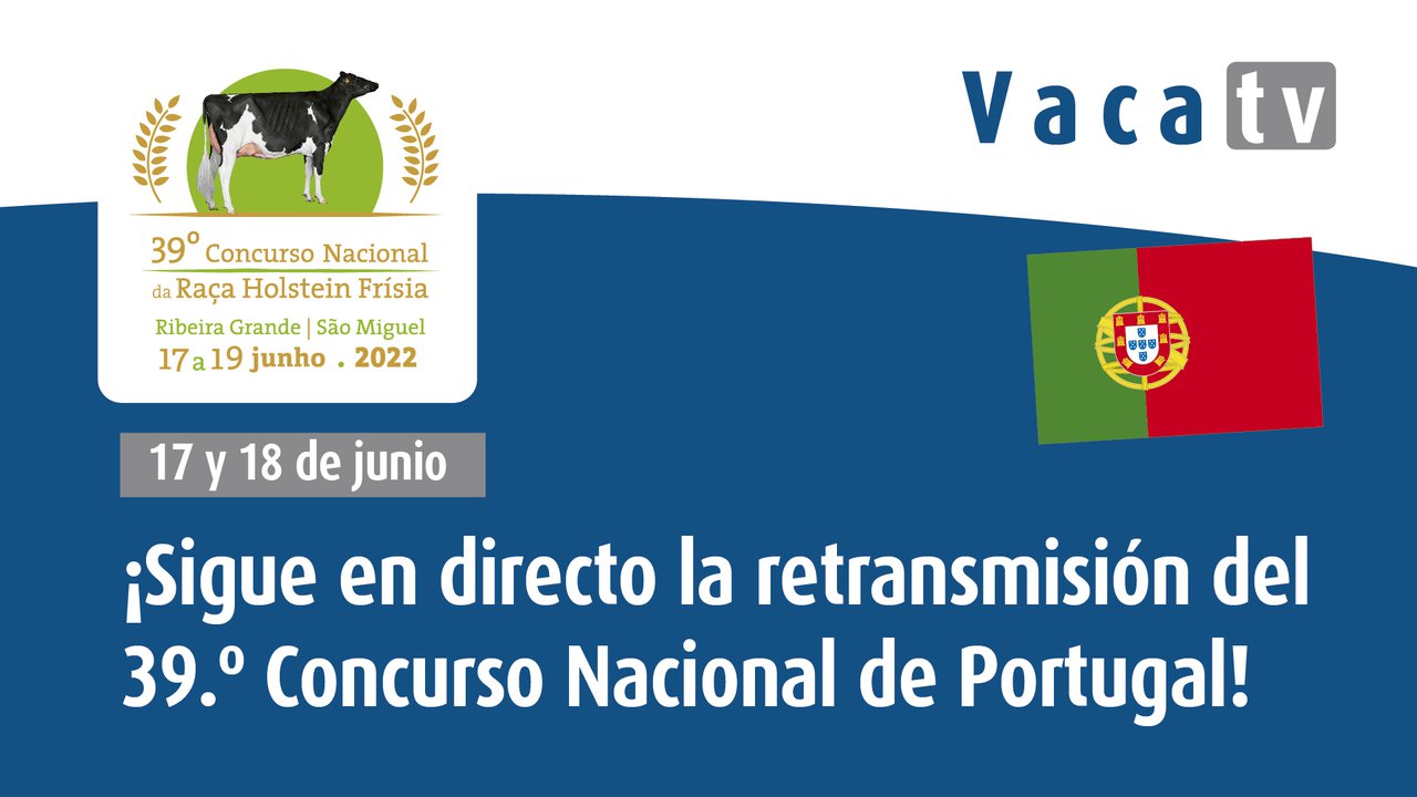 El Concurso Nacional de Portugal, este fin de semana desde Azores
