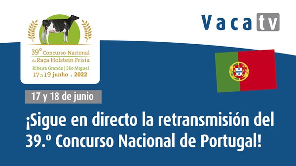 El Concurso Nacional de Portugal, este fin de semana desde Azores