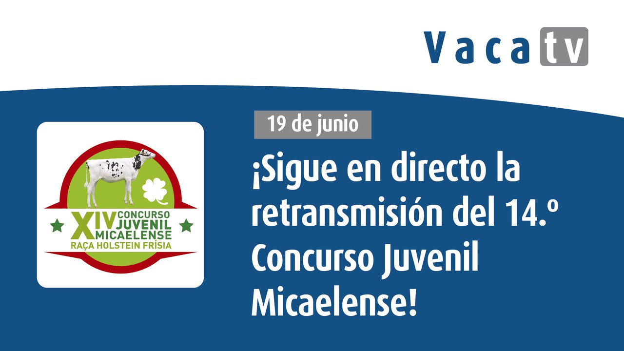 El Concurso Juvenil Micalense, en directo desde Vaca Pinta