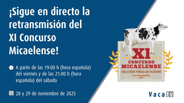 Vaca TV ofrecerá en directo, este viernes y sábado, el XI Concurso de Otoño de Azores