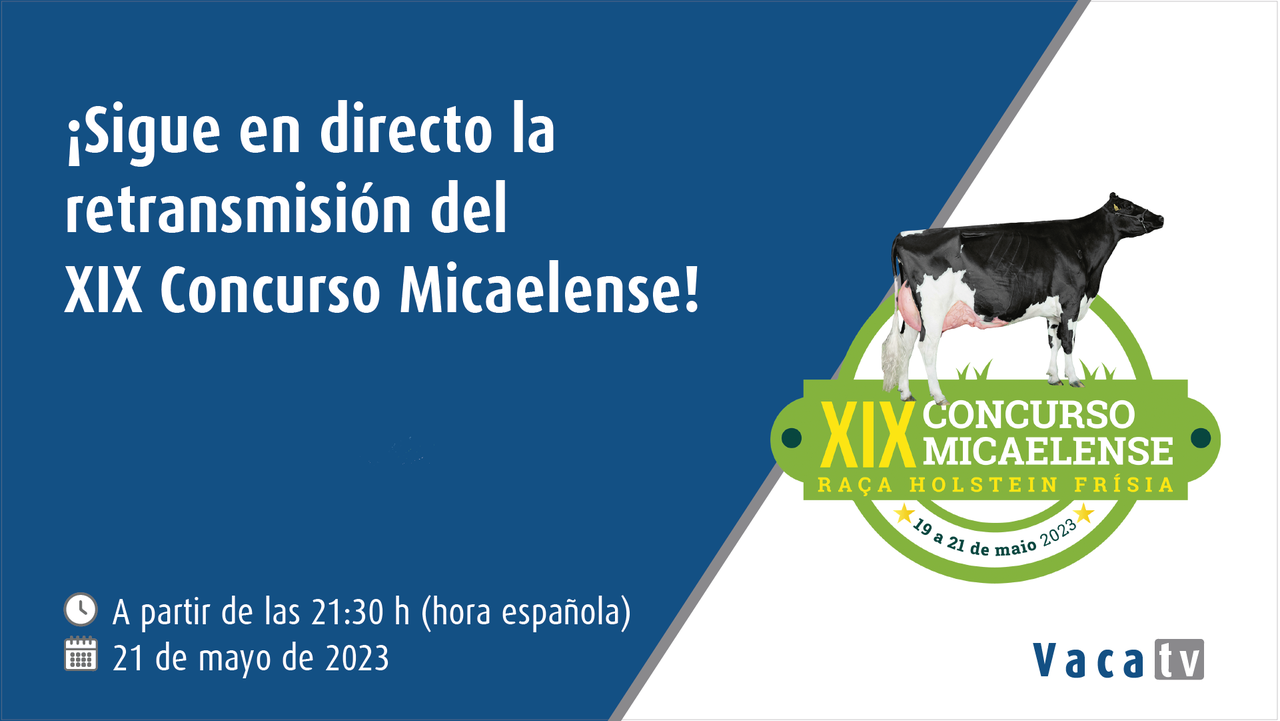 Vaca Pinta emite en directo este fin de semana el XIX Concurso Micaelense de Azores