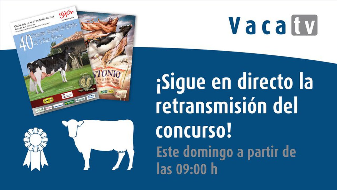 Este domingo, ¡Vaca TV en directo desde Gijón!