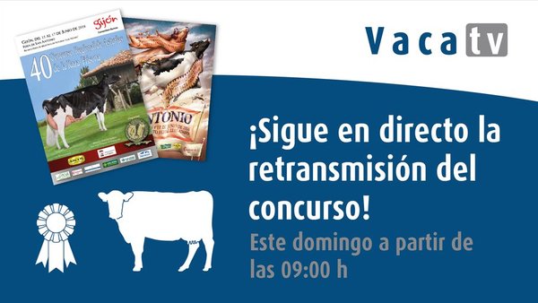 Este domingo, ¡Vaca TV en directo desde Gijón!