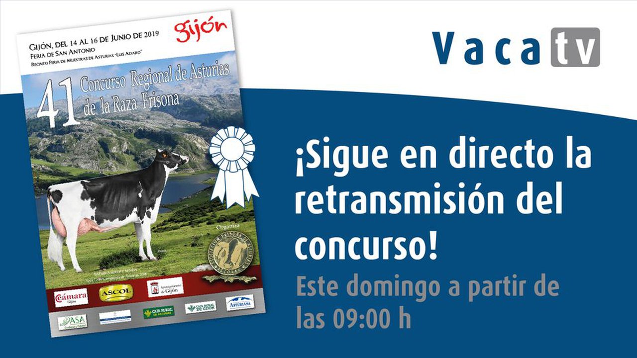 Vaca TV, ¡en directo desde Gijón!