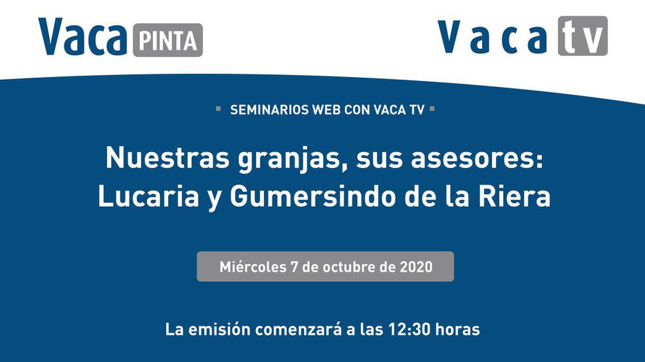 Lely vuelve a los directos web de Vaca TV