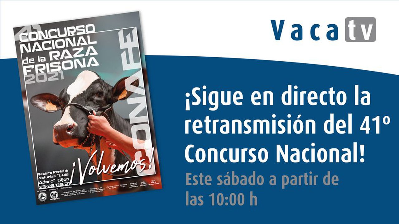 El concurso nacional, este sábado en Gijón... ¡y en directo desde vacapinta.com!