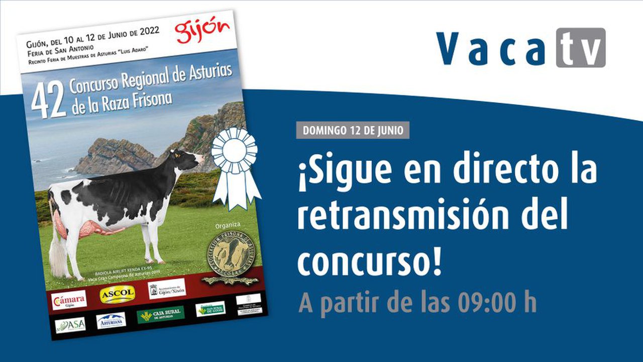 El 42.º Concurso Regional de Asturias, el domingo en directo en Vaca Pinta