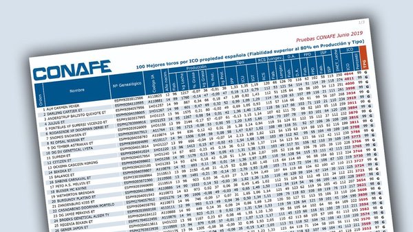 Publicada la lista de los mejores sementales españoles por ICO