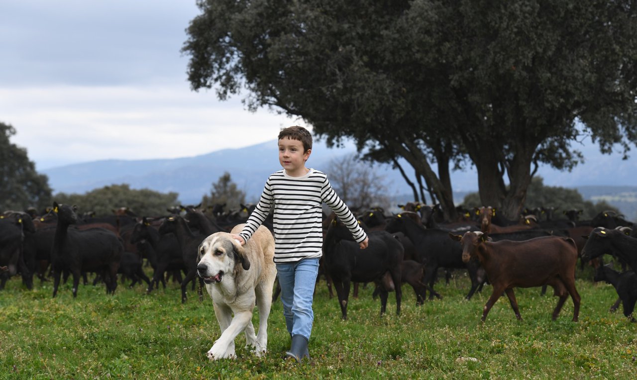 La Inlac anima a los consumidores a escoger alimentos lácteos españoles durante la vuelta al cole
