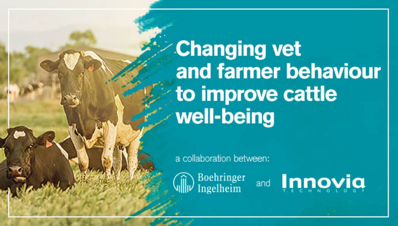 Boehringer Ingelheim pon en marcha un proxecto para a mellora do benestar animal
