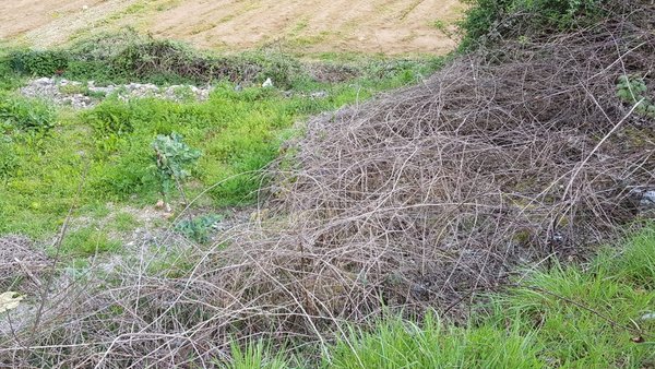 Solicitar permisos para quemas agrícolas será posible desde mañana