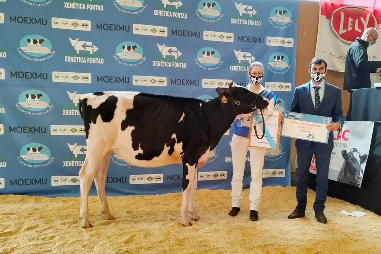 Casa-Nova Shania Mooving 1481 se lleva el premio de novilla gran campeona