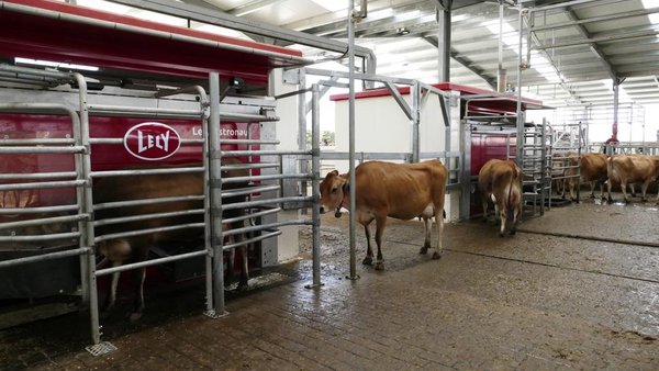 SAT A Campa e Lely, unha alianza a prol da eficiencia produtiva