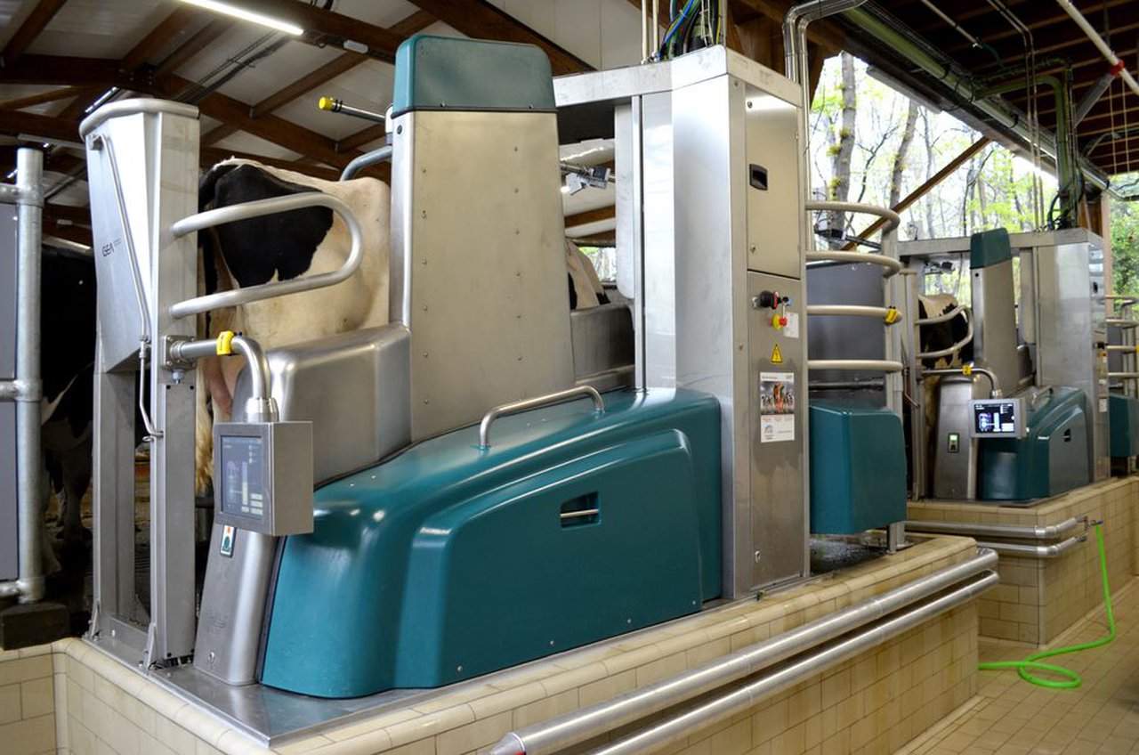 GEA impulsa la automatización y la transformación digital en las explotaciones lecheras