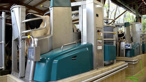 GEA impulsa a automatización e a transformación dixital nas explotacións leiteiras