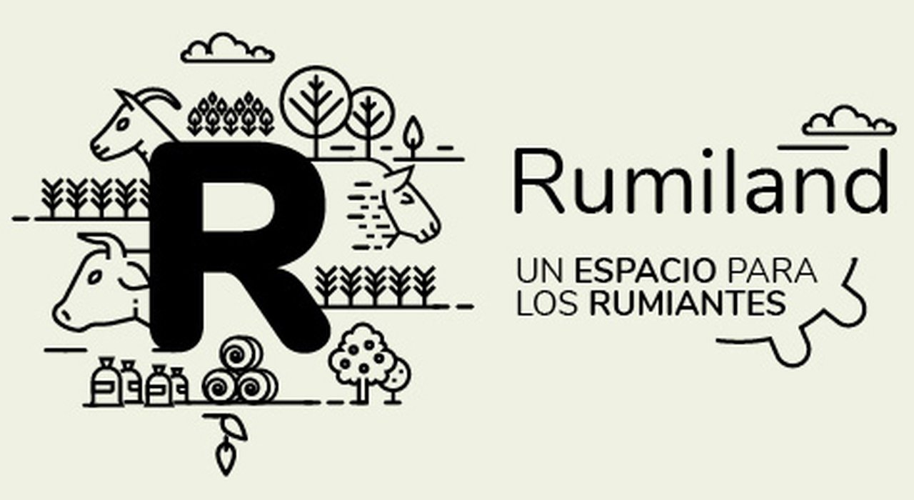 Ya dispoñible o quinto episodio de Rumiland sobre a BVD en cebo
