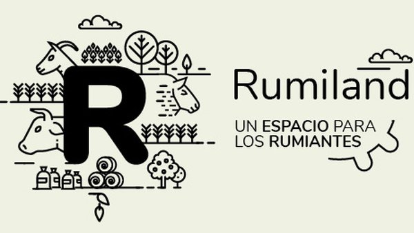 Ya dispoñible o quinto episodio de Rumiland sobre a BVD en cebo