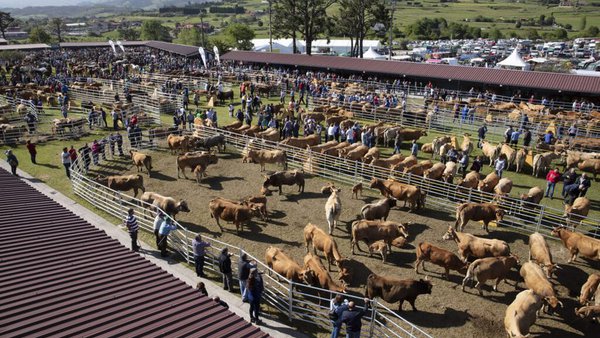 La Feria de San Isidro de Llanera se celebrará el 15 y 16 de mayo solo para profesionales