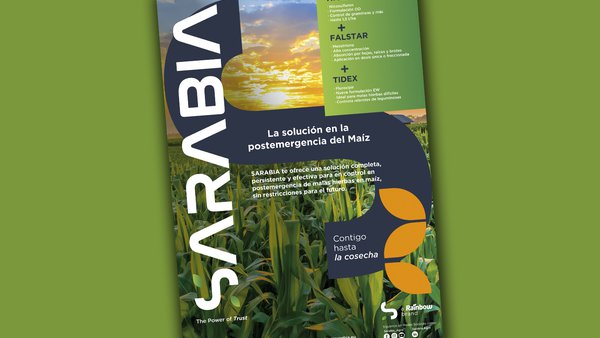 Sarabia, la solución en la postemergencia del maíz