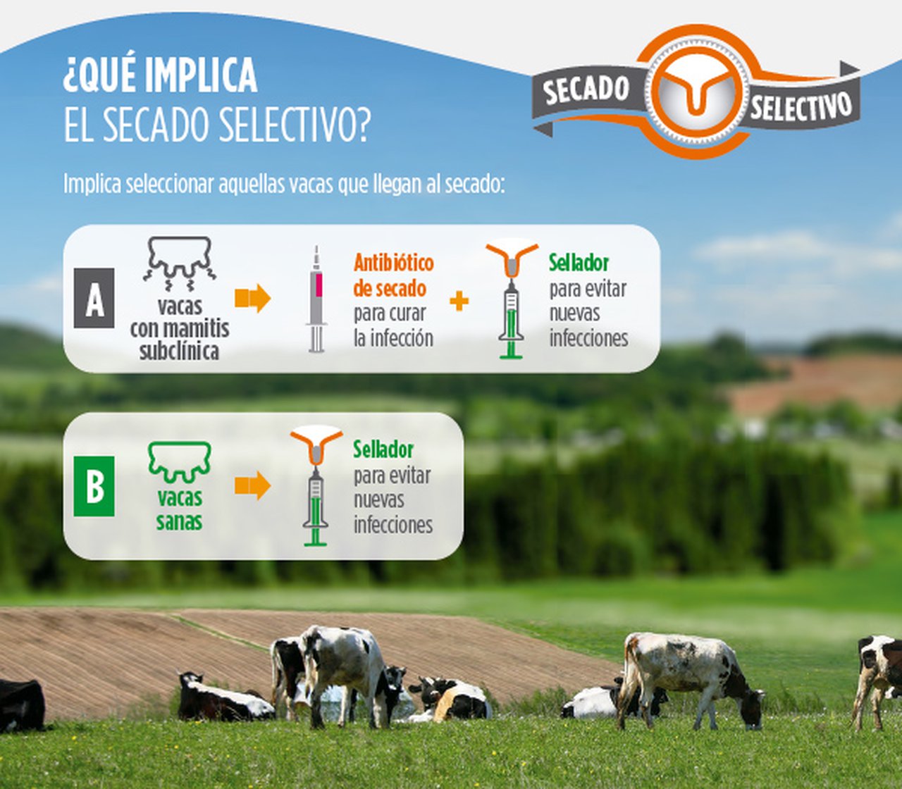 Experiencia de campo prueba la reducción a la mitad del uso de antibióticos sin aumento de las mamitis clínicas