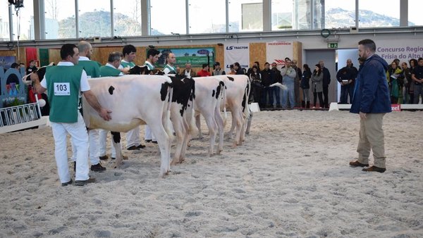 Los vídeos del Concurso Regional del Alto Minho, en nuestra sección de TV