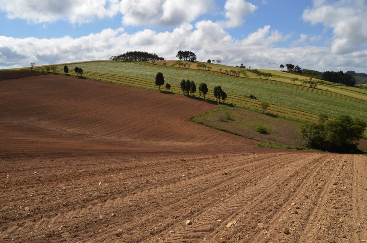 Medio Rural amplía ata o 7 de maio o prazo para solicitar as axudas da PAC